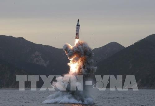 Südkorea und die USA wollen Sanktionen gegen Nordkorea verschärfen - ảnh 1